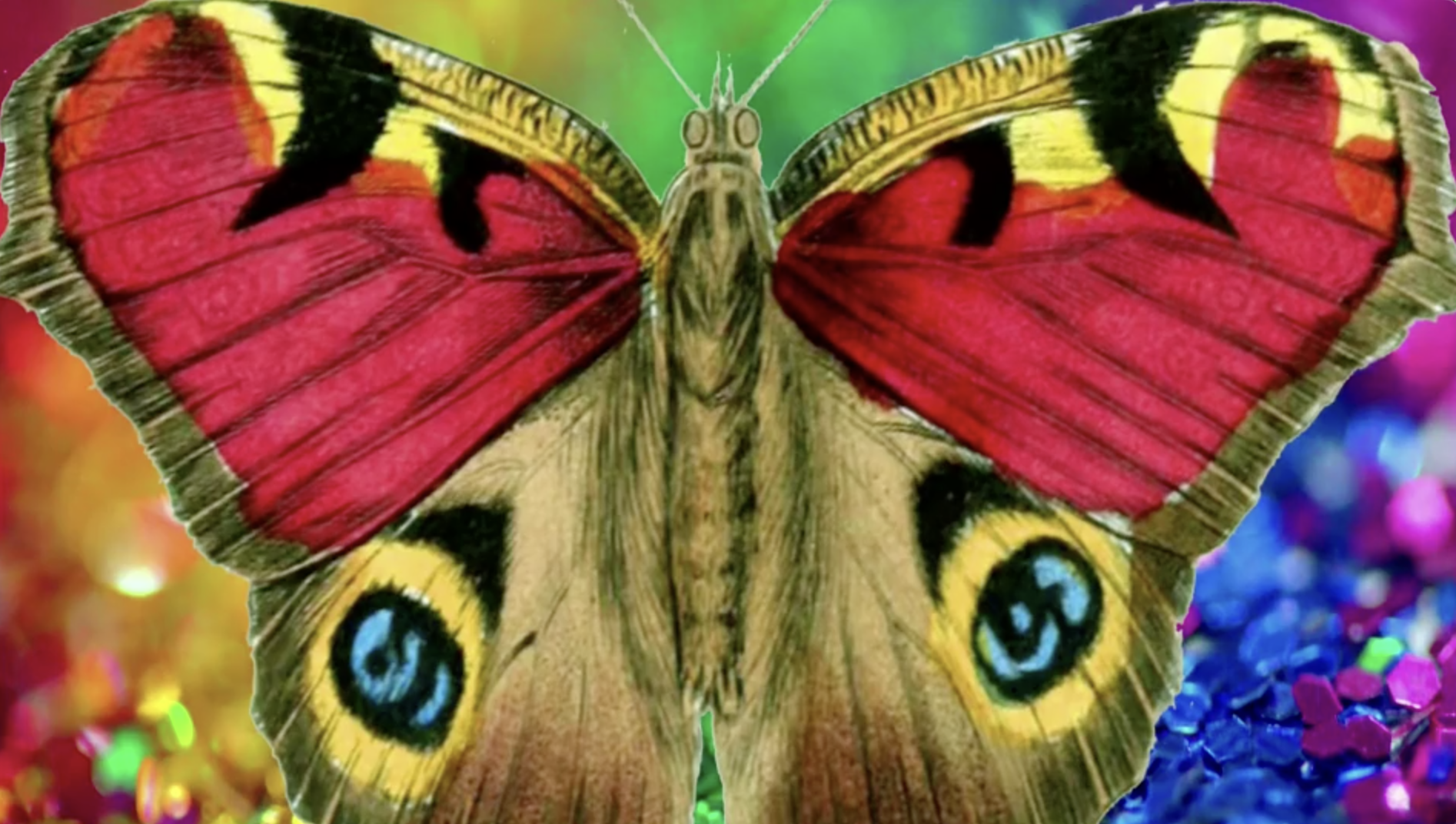 The Wings of a Butterfly - James Hawken